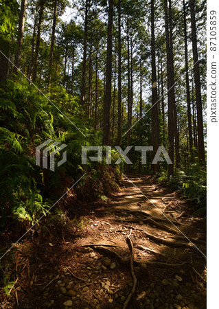 From Kumano Kodo From Kumano Kodo 87105859