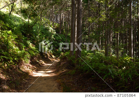 From Kumano Kodo 87105864