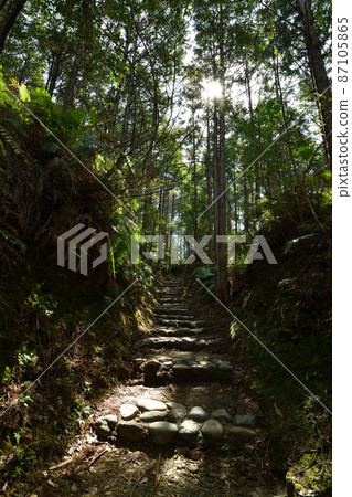 來自Kumano Kodo 87105865
