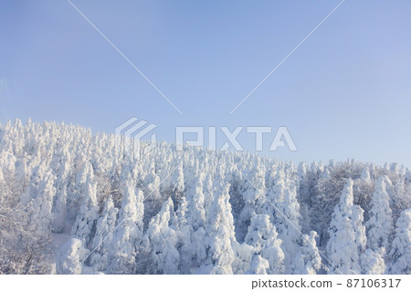 Rime on trees, hoarfrost, Zao 87106317