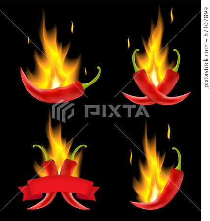 Red hot chili pepper in fire, vector illustration Red hot chili pepper in fire, vector illustration 87107899
