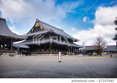 京都東本願寺的銀杏 2021年秋季 87107985