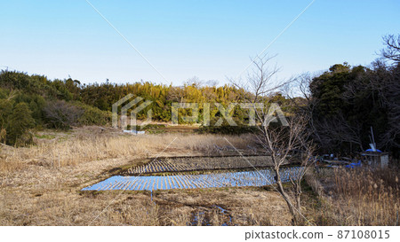 Fields / rice fields Fields / rice fields 87108015