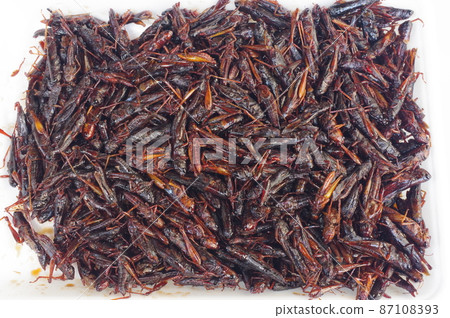 Inago no Tsukudani, one of the local dishes, insect food Inago no Tsukudani, one of the local dishes, insect food 87108393