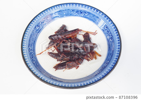 Inago no Tsukudani, one of the local dishes, insect food Inago no Tsukudani, one of the local dishes, insect food 87108396