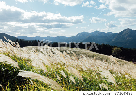 The Susuki of the Sone Plateau 87108485