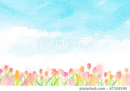 Sakura tulip background material watercolor illustration 87109590