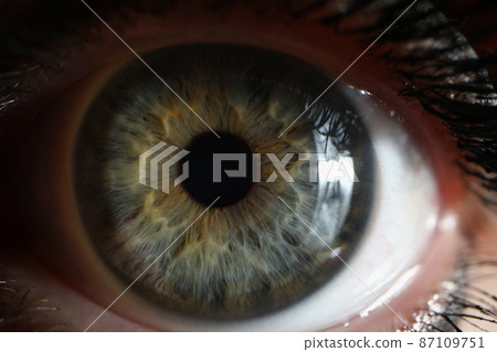 Green females eye with mascara makeup on eyelashes, detailed picture Green females eye with mascara makeup on eyelashes, detailed picture 87109751