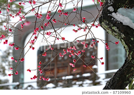 大山神社在冬天 87109960