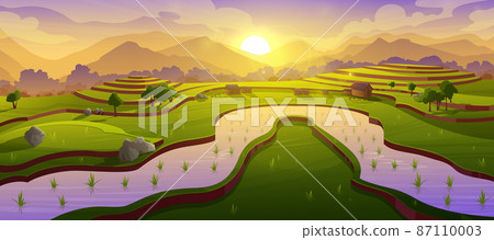 Asian rice field terraces at morning landscape Asian rice field terraces at morning landscape 87110003