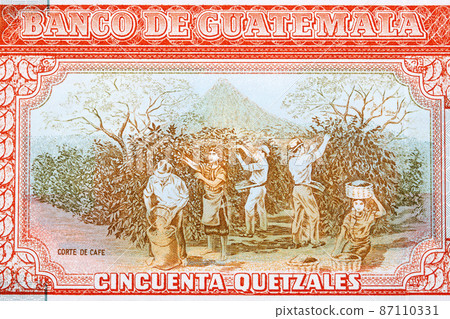 Crop workers from Guatemalan money Crop workers from Guatemalan money 87110331