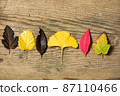Beautiful autumn background with colored maple leaves on old wooden board. Two maple leaf hanging from the top, flat lay 87110466
