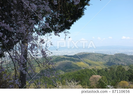 View of Kyoto and cherry blossoms from Yoshiminedera, Kyoto View of Kyoto and cherry blossoms from Yoshiminedera, Kyoto 87110656