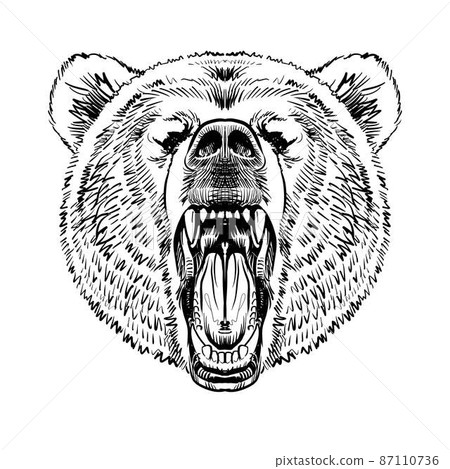 Menacing bear-front view 87110736