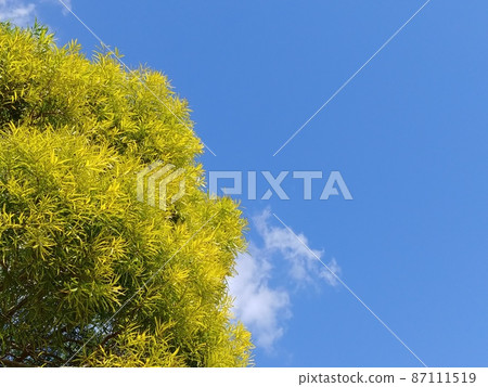 Green and blue sky 1 Green and blue sky 1 87111519