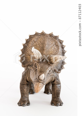 Triceratopos isolated on white background 87112403