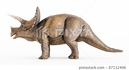 Triceratopos isolated on white background 87112406