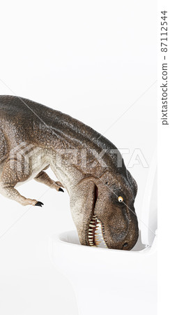 Tyrannosaurus isolated on white background 87112544