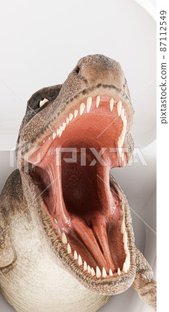Tyrannosaurus isolated on white background 87112549
