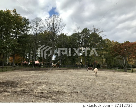 Landscape with horses 87112725