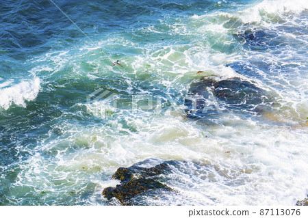 Cormorant Cormorant 87113076