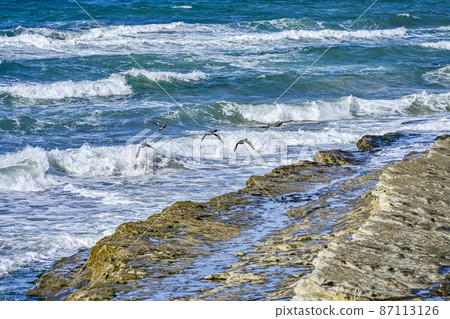 知多半島南知多海岸 知多半島南知多海岸 87113126