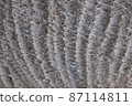 Artificial rock surface 87114811