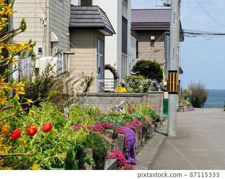 Spring in the city of Asari Otaru Spring in the city of Asari Otaru 87115333