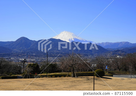 2 月 50 日從大井町富士山和足柄山 / Biotopia 2 月 50 日從大井町富士山和足柄山 / Biotopia 87115500