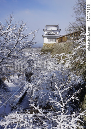"Tsuruyama Park (Tsuyama Castle Toe)", one of the 100 best cherry blossom viewing spots in Tsuyama City, Okayama Prefecture: Snowscape 87117116