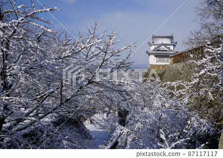 岡山縣津山市賞櫻百選之一的“鶴山公園（津山城前）”：雪景 87117117