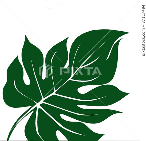 Konoha Monstera 2 Konoha Monstera 2 87117494