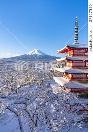[山梨縣]積雪的荒山山仙根公園中瑞塔和富士山 87117550