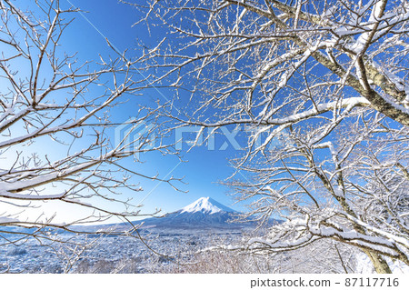 [Yamanashi Prefecture] Mt. Fuji in a snowy landscape 87117716