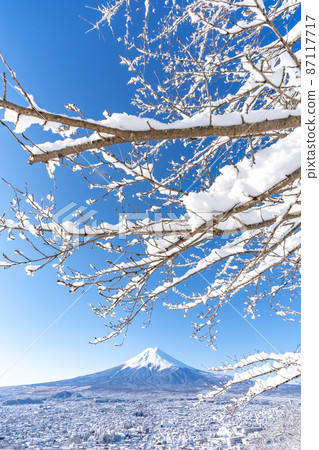 [Yamanashi Prefecture] Mt. Fuji in a snowy landscape 87117717