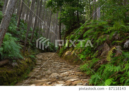 來自Kumano Kodo 來自Kumano Kodo 87118143