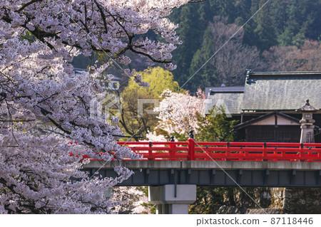 210412 Sakura Nakahashi 004 87118446