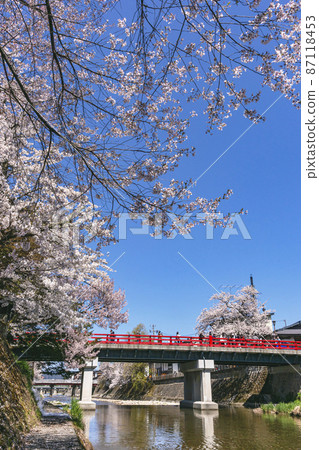 210411 中橋櫻 199 210411 中橋櫻 199 87118453
