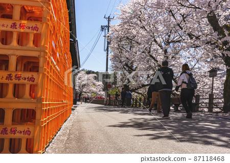 210410 Sakura Nakahashi 469 87118468