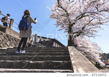 210410 Sakura Nakahashi 356 87118472