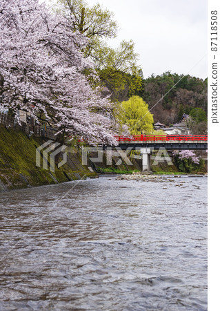 210405 Sakura Nakahashi 034 87118508