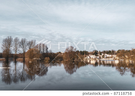 Landscape of early spring with naked and flooded trees Landscape of early spring with naked and flooded trees 87118758