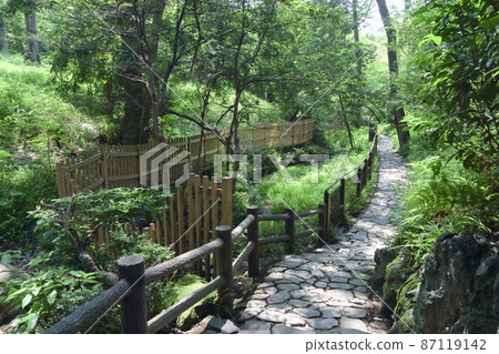有棲川宮紀念公園綠3 87119142