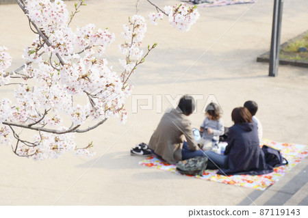 一家人在櫻花下看櫻花 87119143
