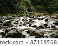 Green Stream 87119508