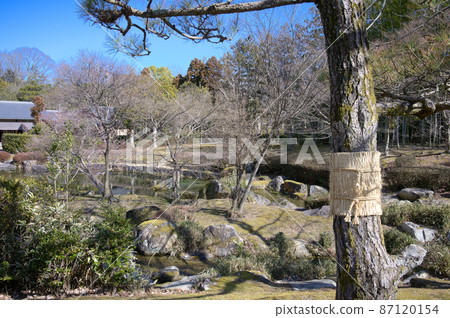 日本庭園 87120154