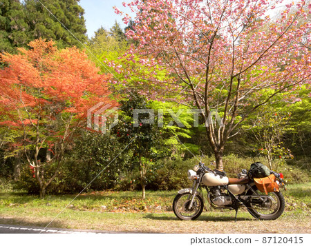 Autumn leaves and motorcycles 87120415