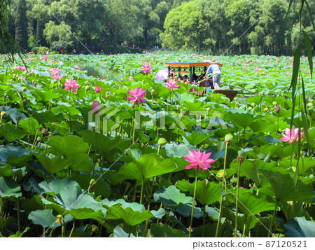 北京海淀區什塔金公園哈斯花遊船 87120521