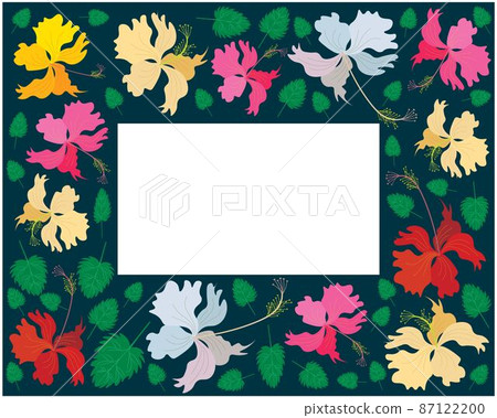 Frame of Fresh Colorful Hibiscus Flowers Frame of Fresh Colorful Hibiscus Flowers 87122200