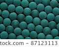 Spirulina tablets close up top view. Flat lay Healthy food supplement. Super food ingredient. top view 87123113